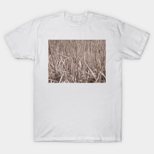 Cattails T-Shirt